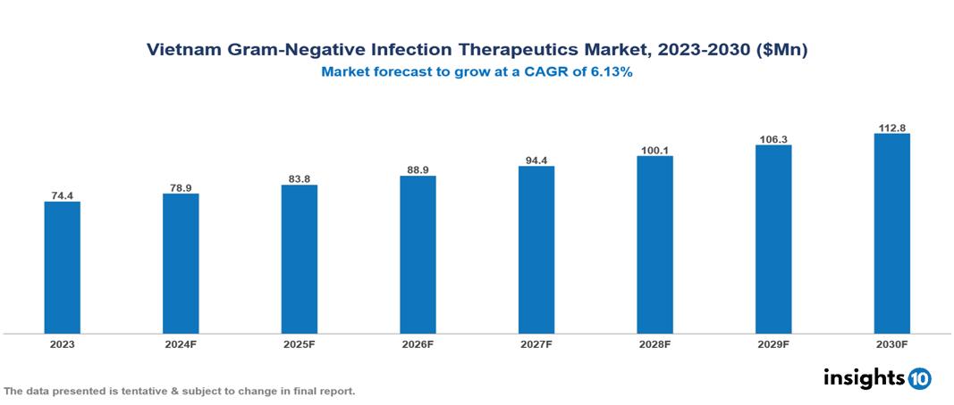 Vietnam Gram Negative Infection Therapeutic Market Report 2023 to 2030